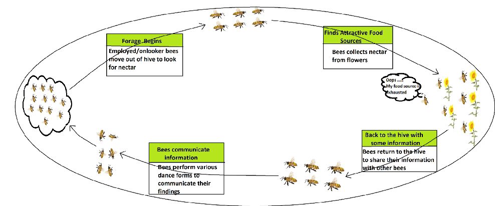 Bee colony optimisation