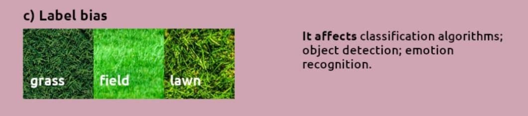 Showing label bias in bias detection in computer vision
