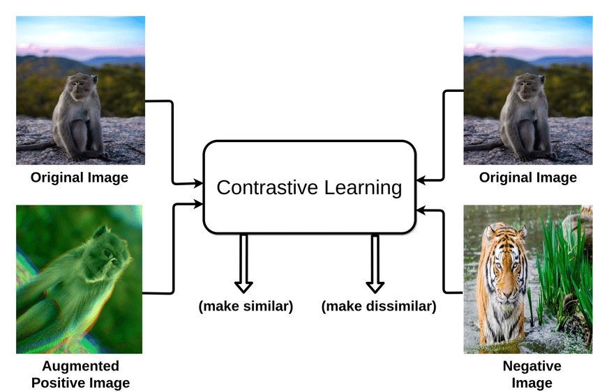 CLIP works through contrastive learning