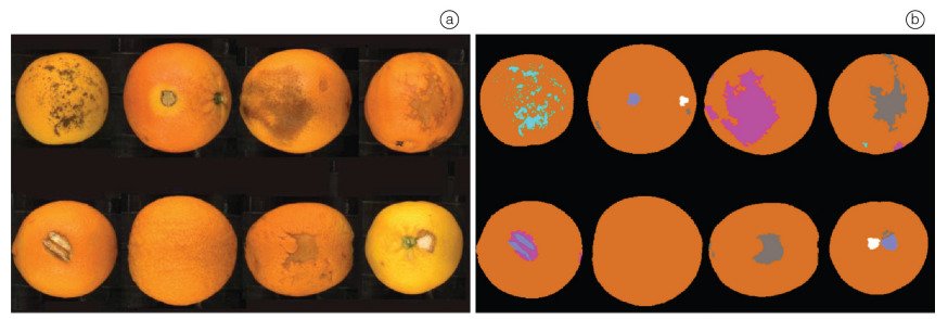 Quality control AI system detecting fruit defects