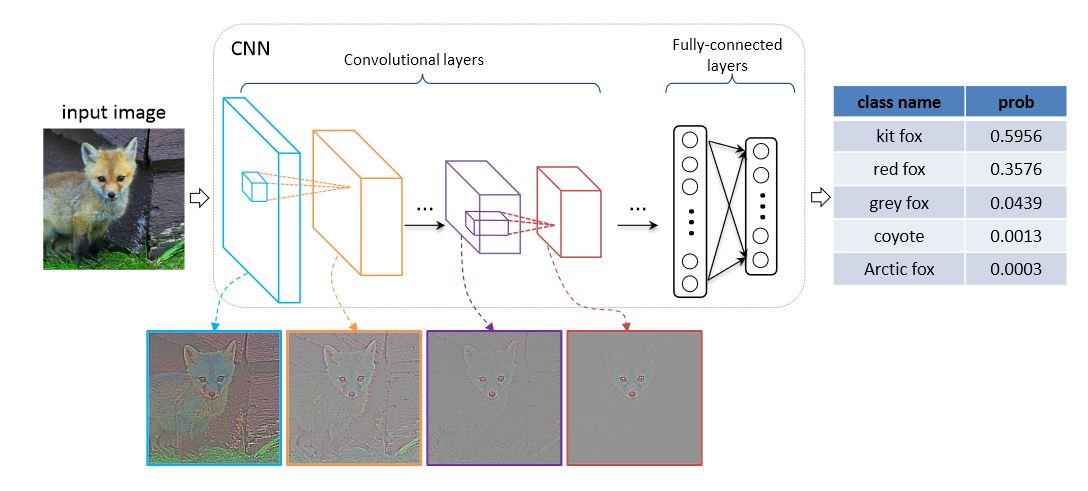 How a CNN like VGG Convolutional network works
