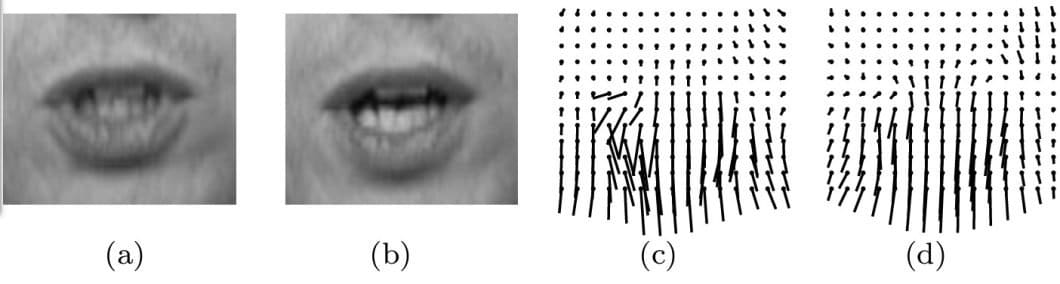 Illustration of how an optical flow system might interpret flow fields using the dense optical flow method or deep learning method