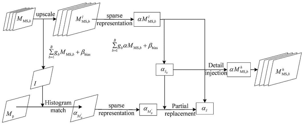 Sparse Representation for IF